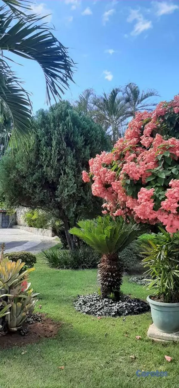 casas vacacionales y villas - Venta propiedad en Primera Linea de Playa - Juan Dolio, Rep. Dom 4