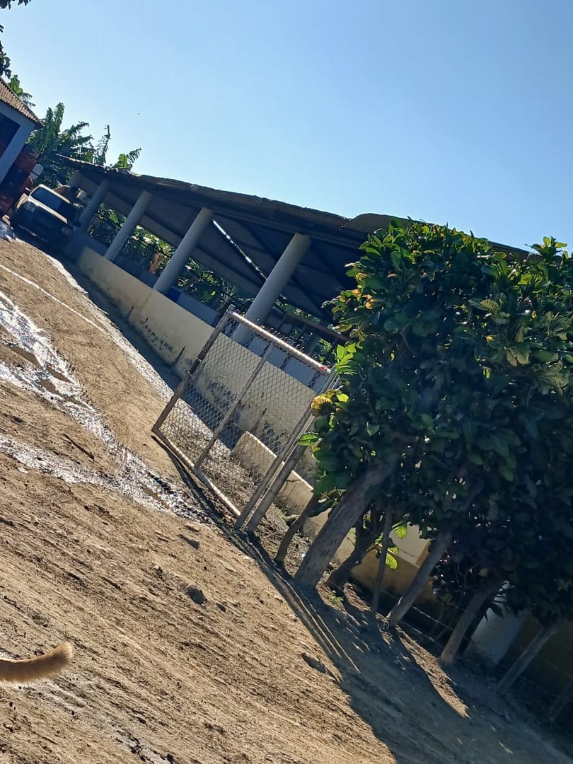 solares y terrenos - Finca 700 tarea en Mao 4