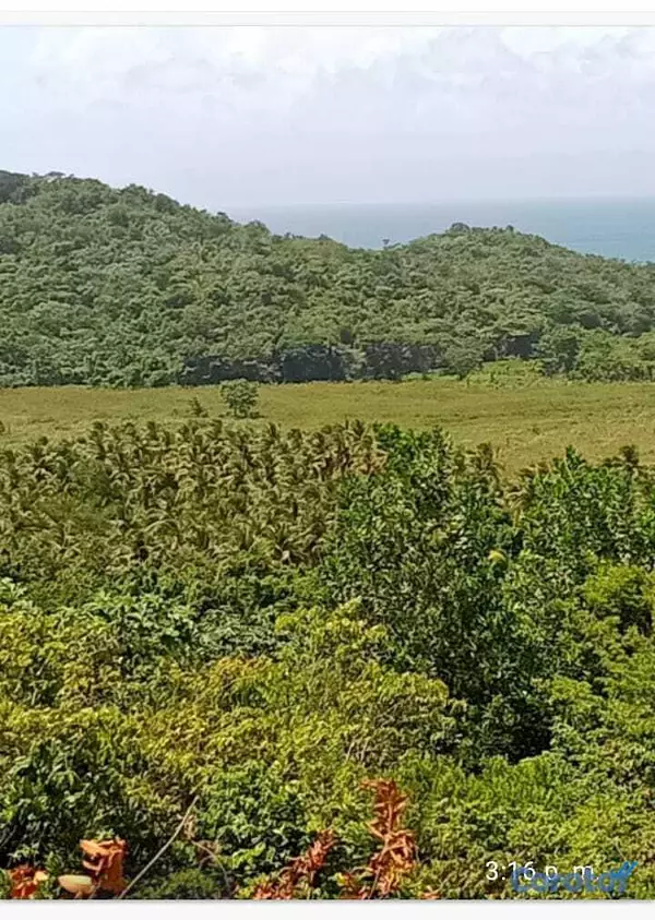 solares y terrenos - Terreno 7,500,000 Mts Frente de Playa en Miches 5