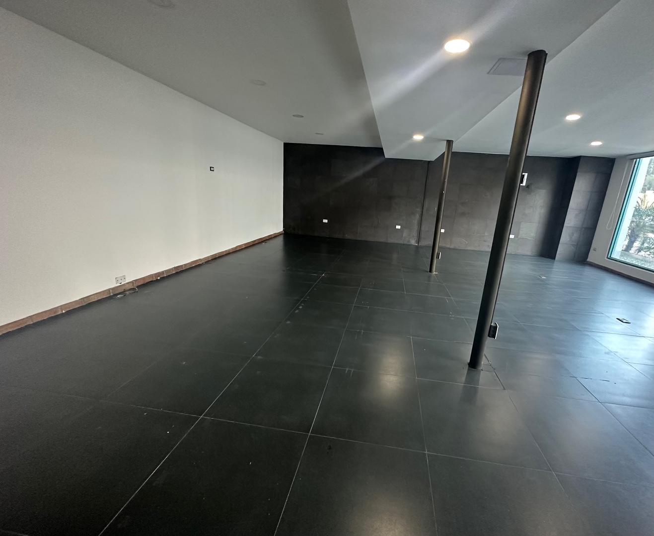 oficinas y locales comerciales - Local en Alquiler en Piantini 2