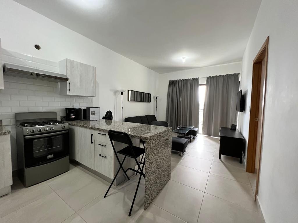 apartamentos - Se alquila apartamento amueblado en Los Ríos 9