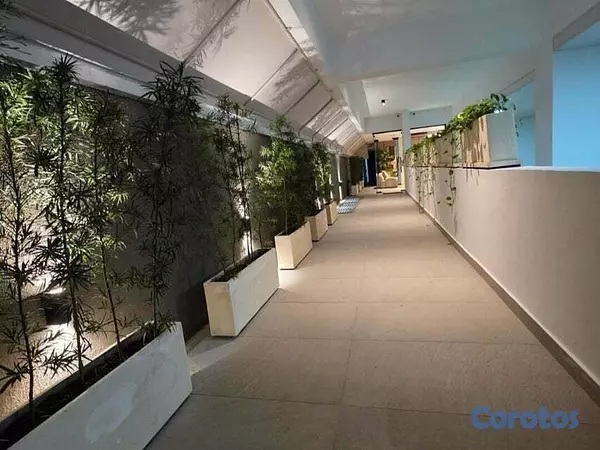 apartamentos - Apartamento En Alquiler En Piantini Amueblado De U 2