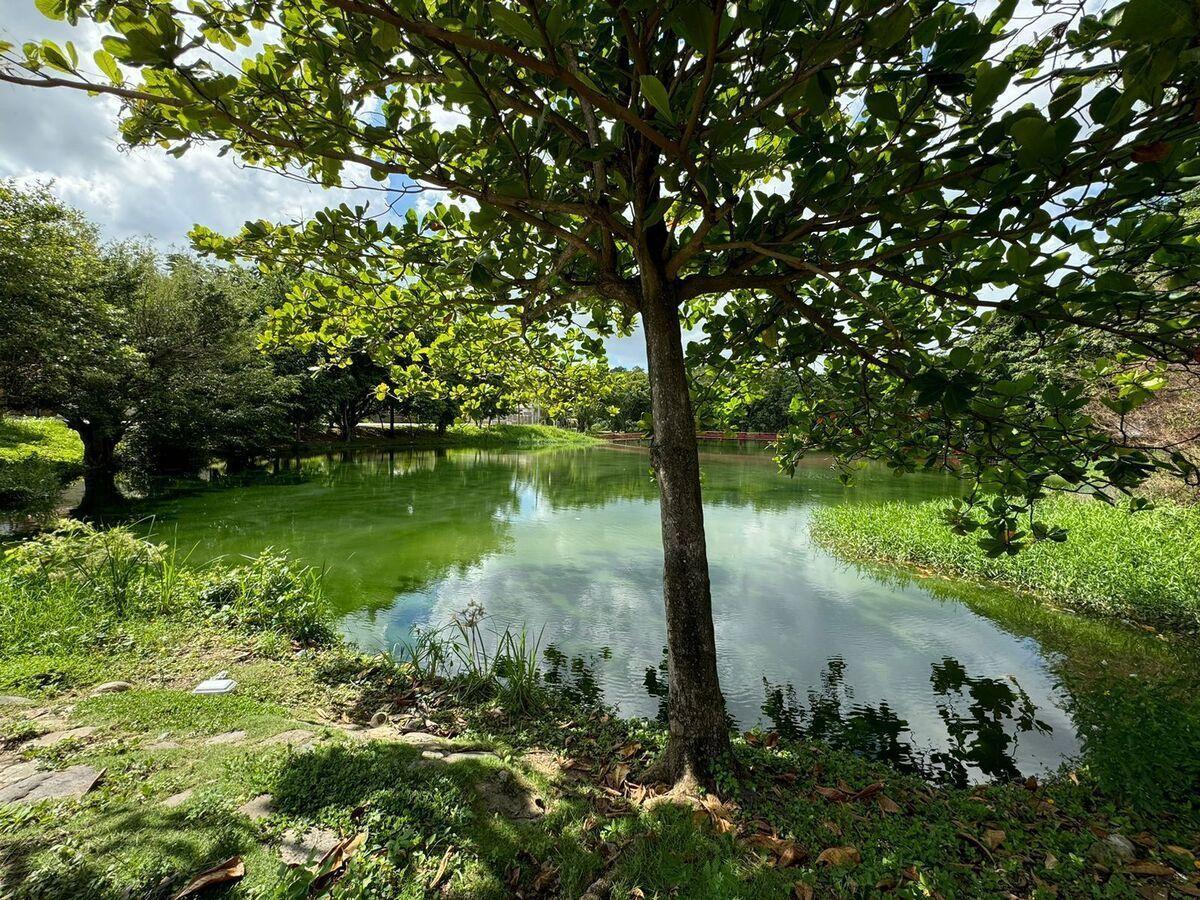 solares y terrenos - Solar / Terreno en Venta en Urb Paraíso del Caribe, Bayona 7
