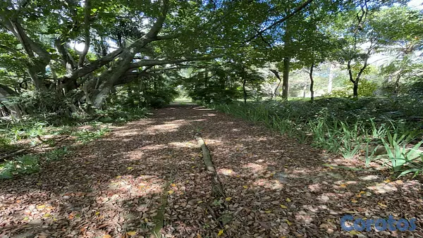 solares y terrenos - Venta Terrenos y Finca Km 25 Autopista  Duarte 9
