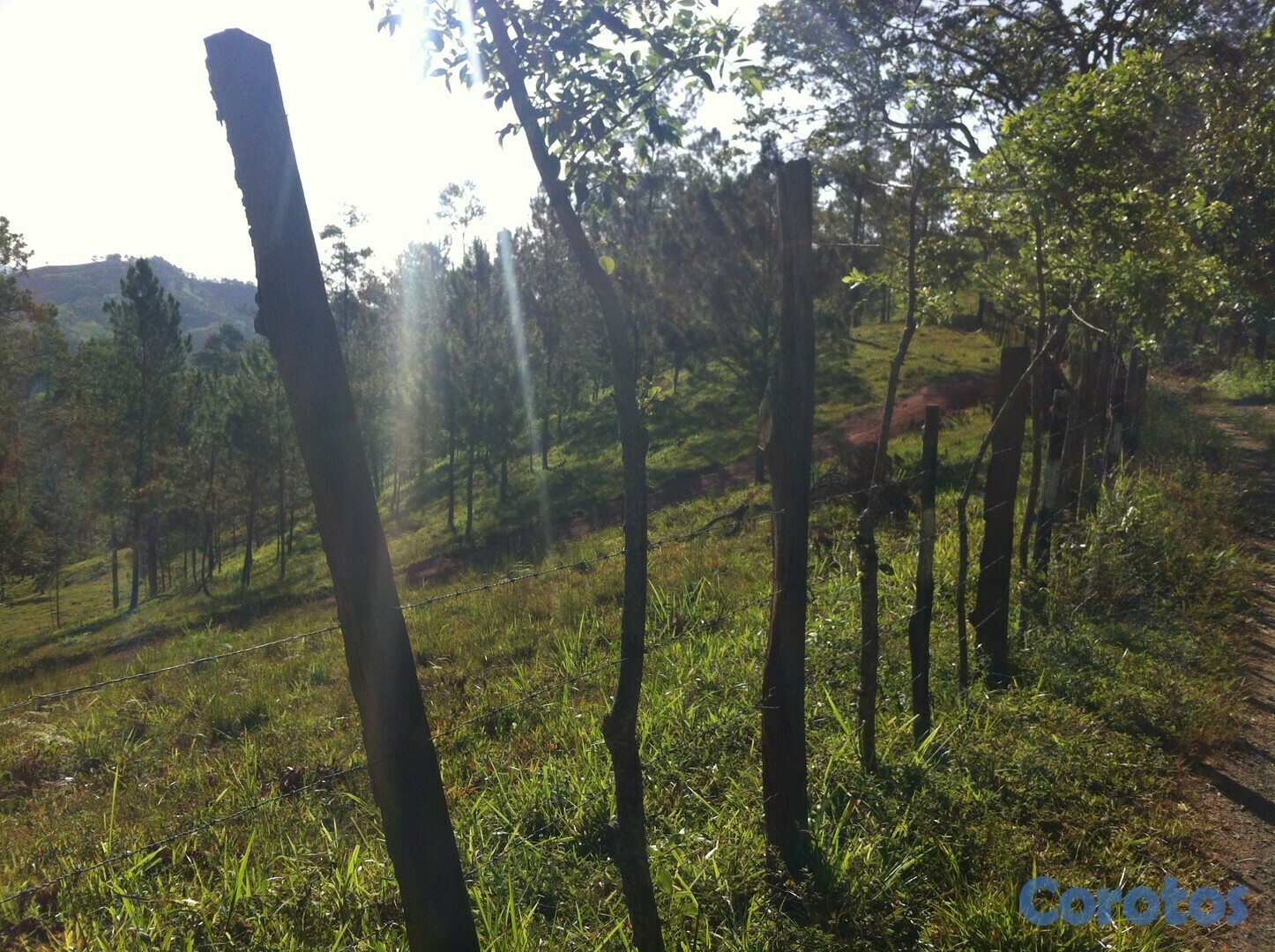 solares y terrenos - Finca en Jarabacoa 9