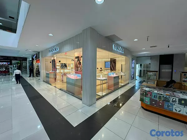 oficinas y locales comerciales - Local en alquiler en Santiago  5