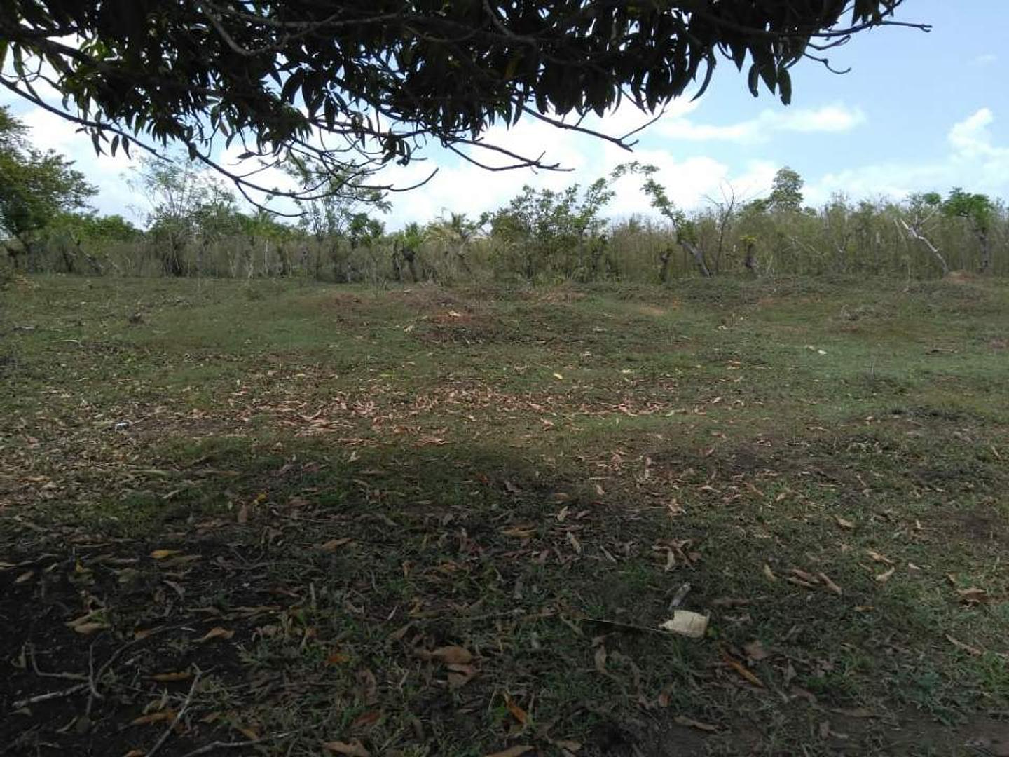 solares y terrenos - Terreno en Venta  7
