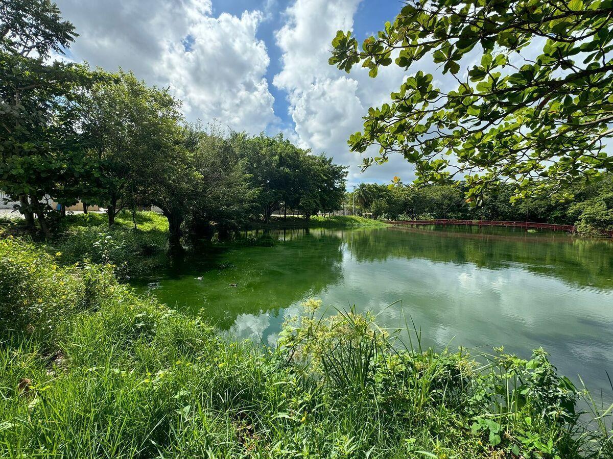 solares y terrenos - Solar / Terreno en Venta en Urb Paraíso del Caribe, Bayona 8