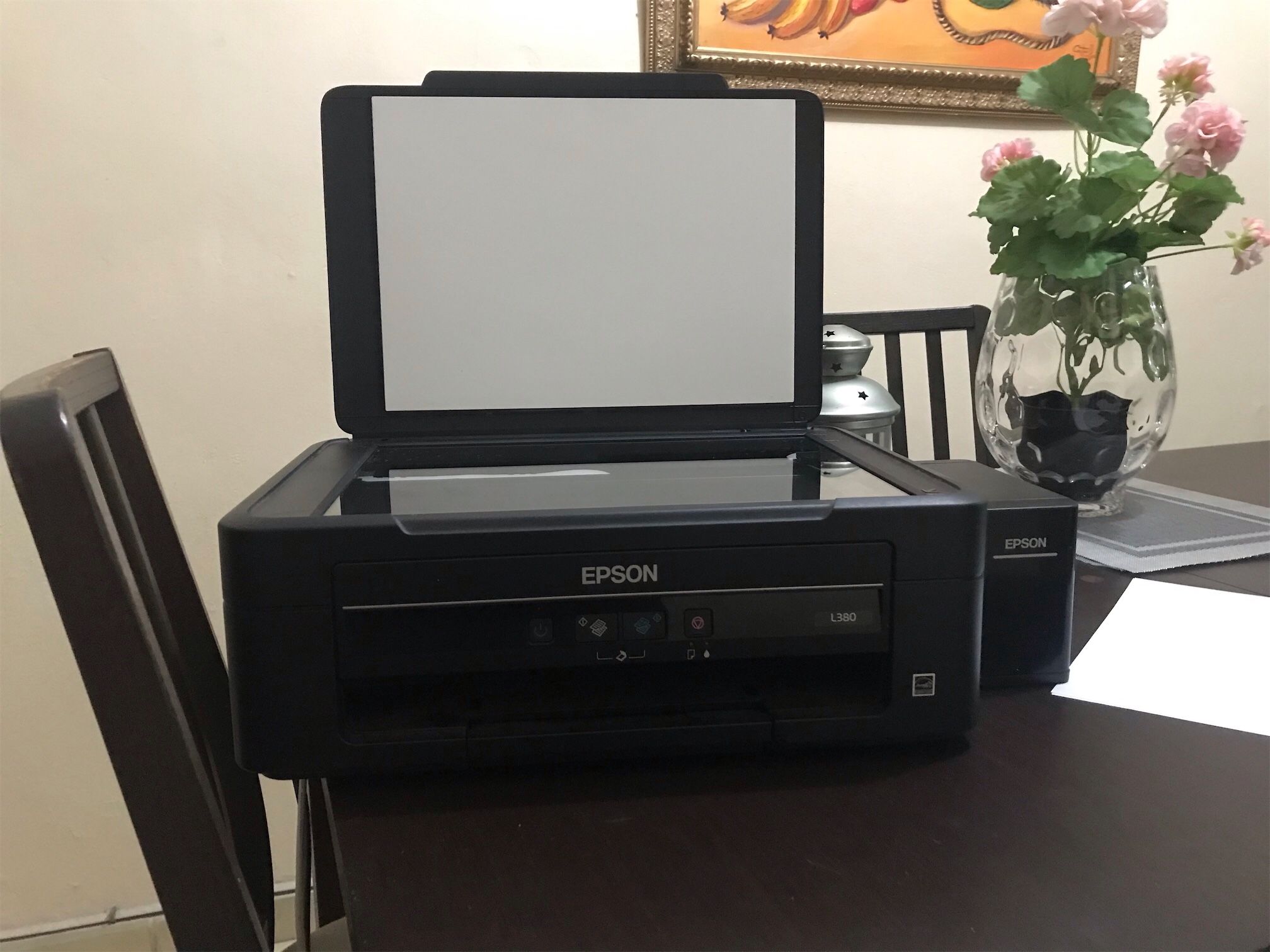 impresoras y scanners - Impresora EPSON L380 (Con Scanner) 