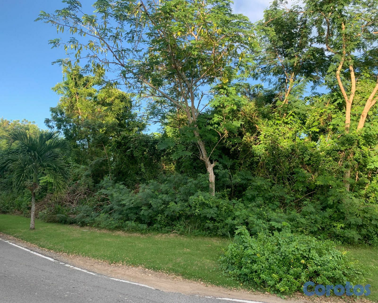 solares y terrenos - 🌴 Terreno en Venta en Playa Nueva Romana 3