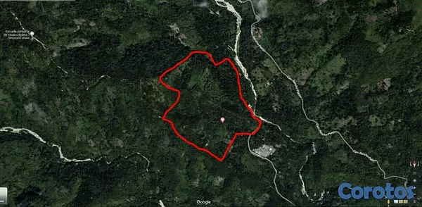 solares y terrenos - Finca de Aguacates en Venta en Paraíso, Barahona 1