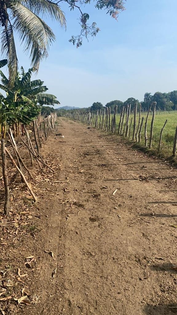 solares y terrenos - Finca 520 tareas en monte plata, en Don Juan 
