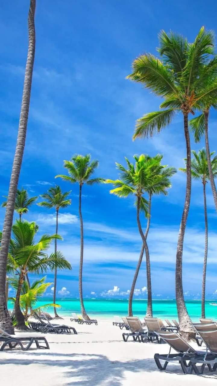 apartamentos - DIOS 📍Apartamentos de veraneo e Inversión🇩🇴 5