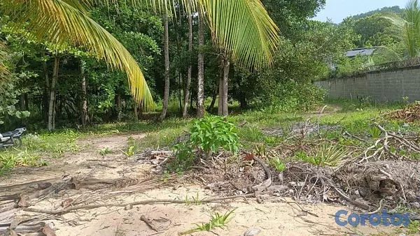 solares y terrenos - venta de solar en playa Coson Samana República Dominicana con 1,797mts 2