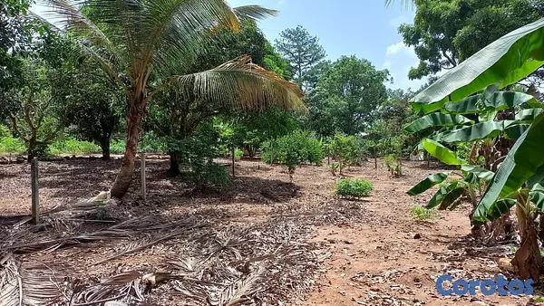 solares y terrenos - Solar en venta en los mogotes de Villa Altagracia República Dominicana de 5000m2 4