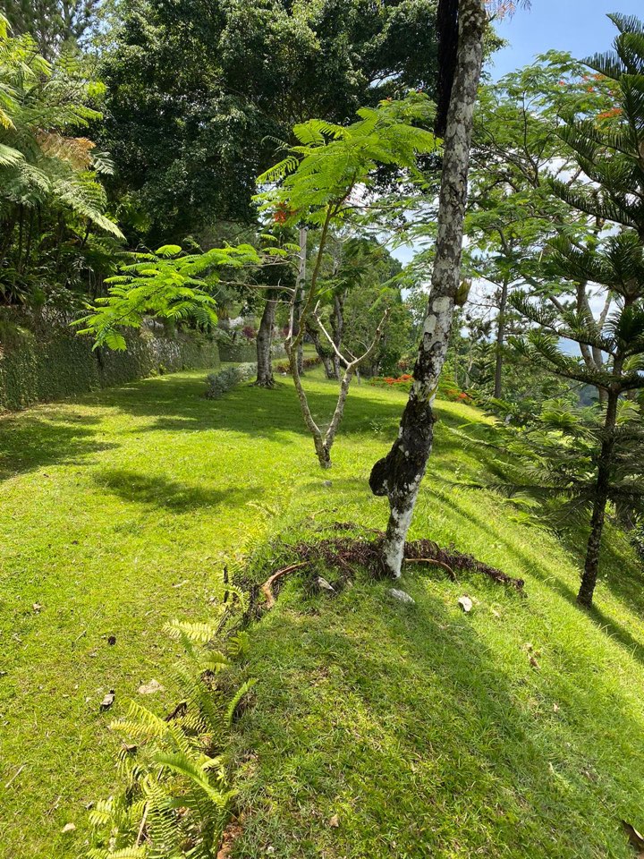 solares y terrenos - Vendo terreno en la montaña de San Cristobal La colonia 