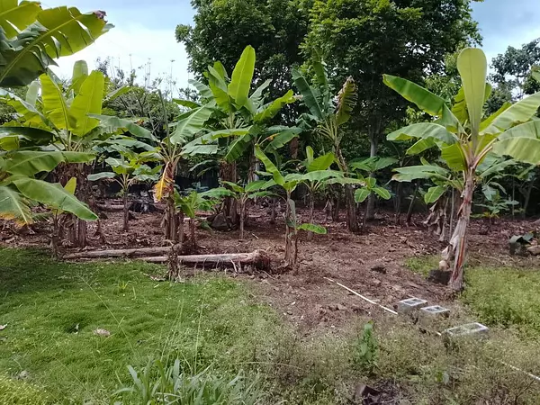 solares y terrenos - VENDO SOLAR EN VILLA ALTAGRACIA 4