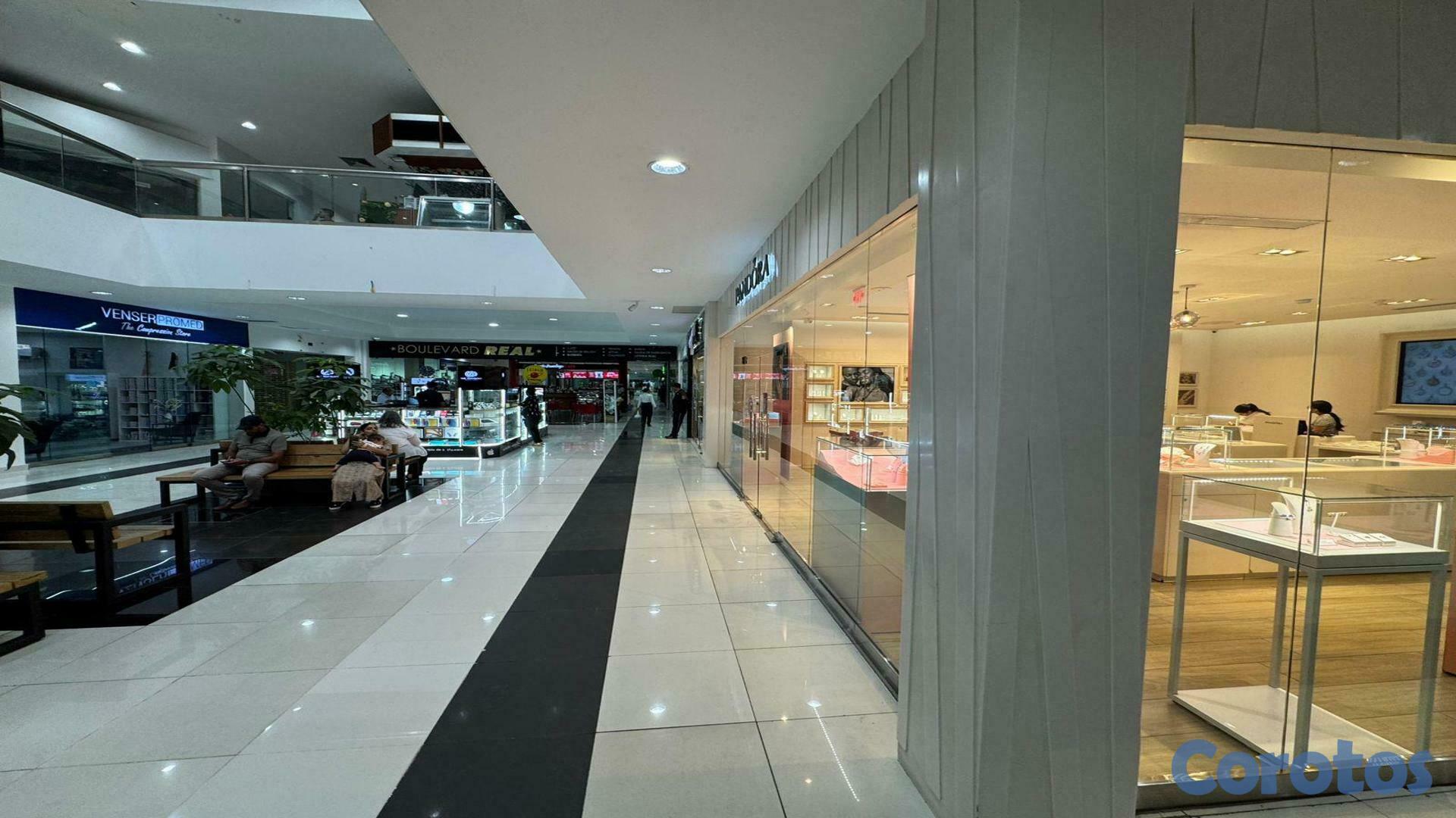 oficinas y locales comerciales - Local en Alquiler en Santiago de los Caballeros 3