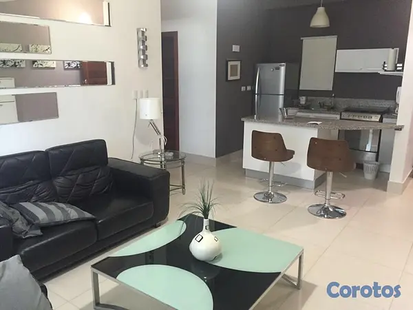apartamentos - Hermoso apt en la Esperilla 2