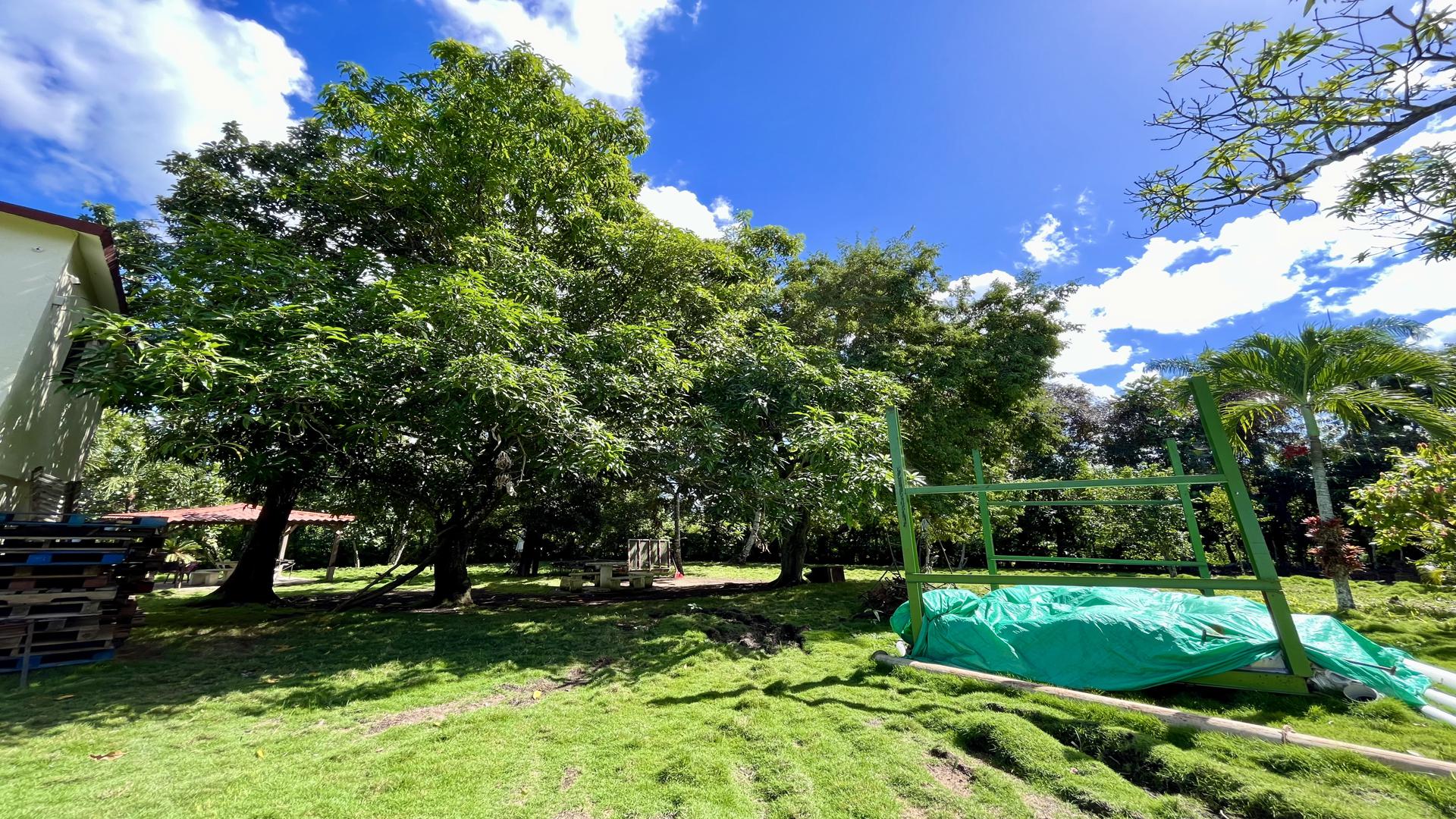 solares y terrenos - Terreno en Venta y Alquiler en la Av. Circunvalación, Santo Domingo Norte 5