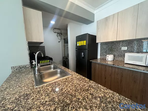 apartamentos - Apartamento en Alquiler en Naco Amueblado de UNA H 14