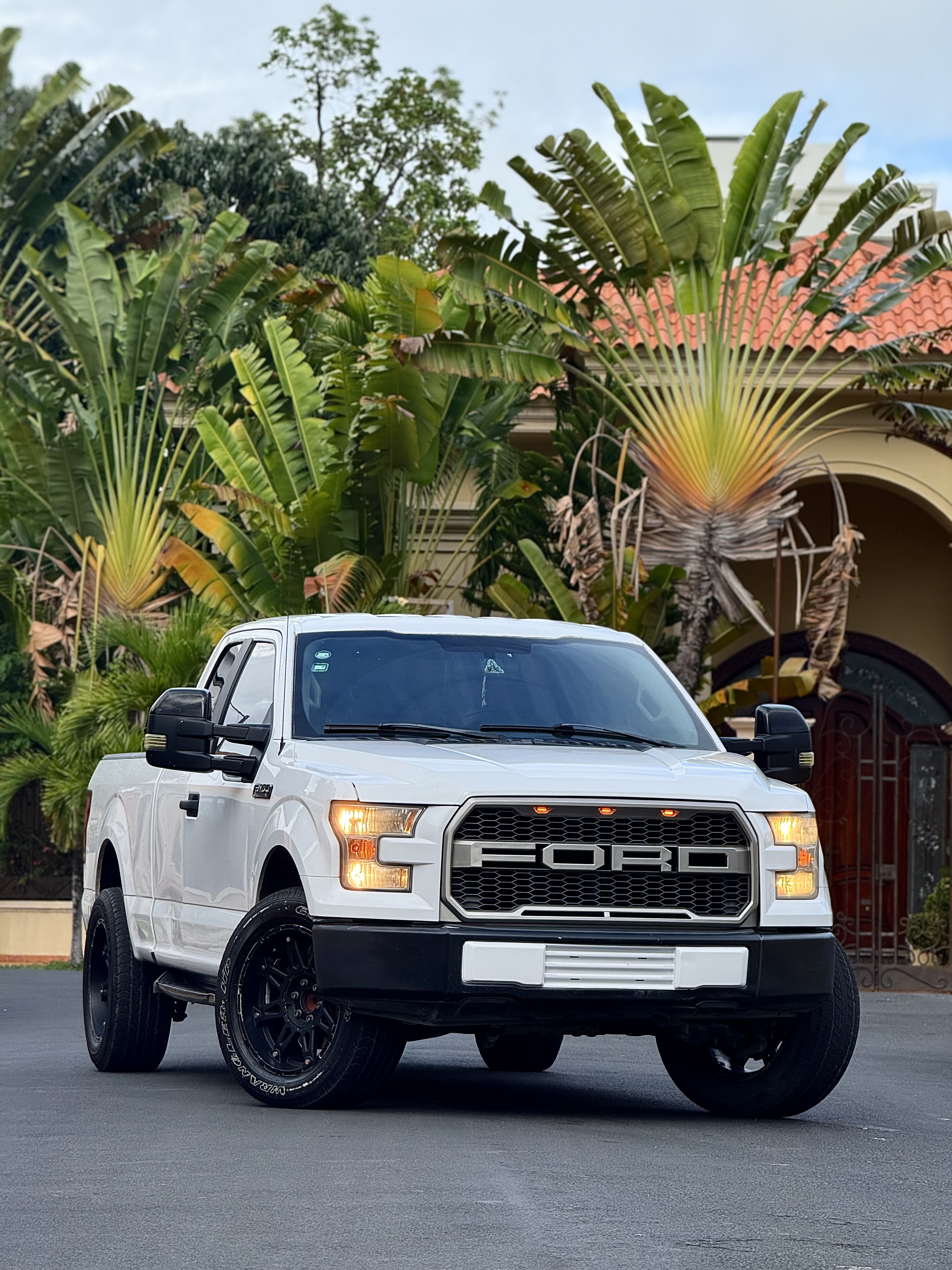 jeepetas y camionetas - Ford F150 XL 2015 tracción trasera 4X2 cabina y me