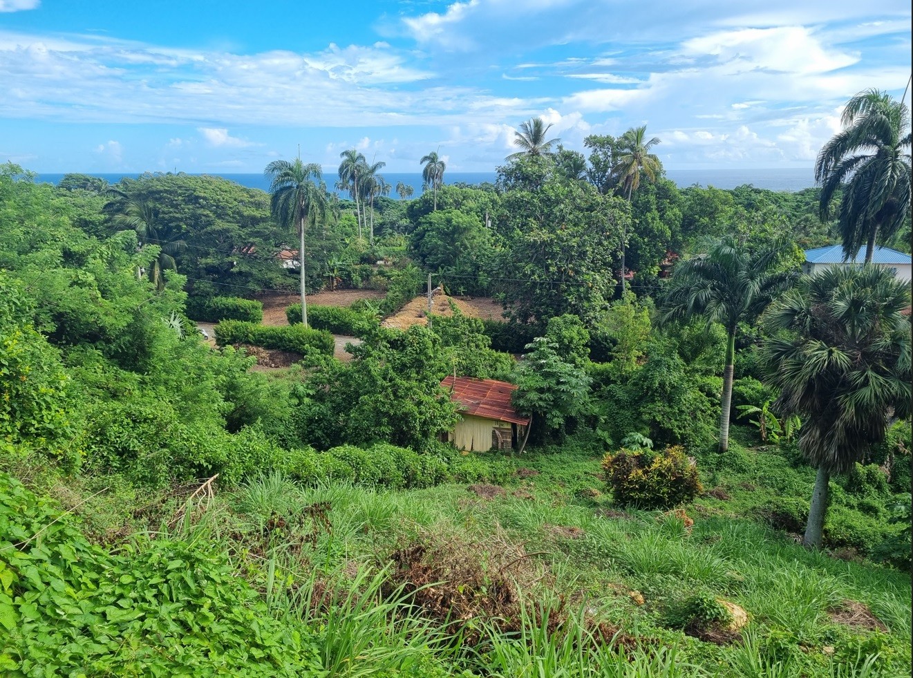 solares y terrenos - Vendo Solar en Oasis Cabo Frances ideal para construir la casa de tus sueños 3