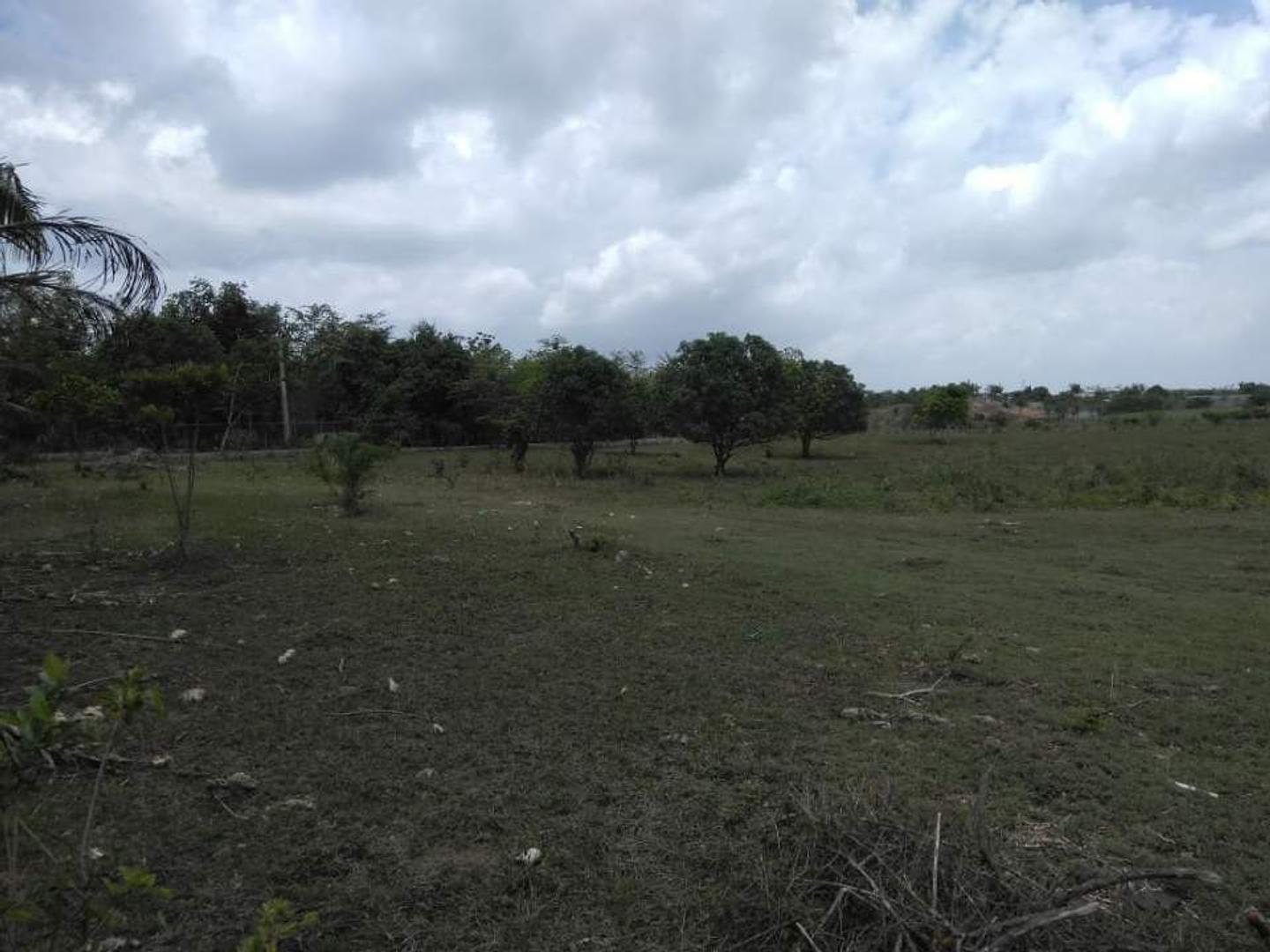 solares y terrenos - Terreno en Venta  9