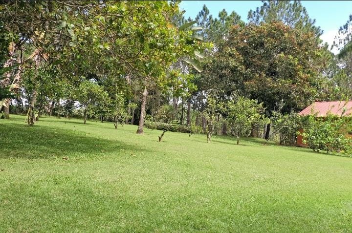 solares y terrenos - Terreno con Acceso al Rio en Jarabacoa  1