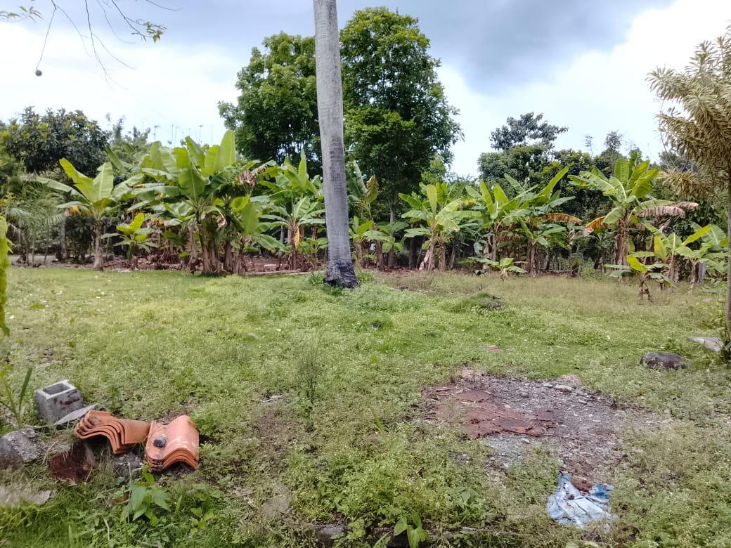 solares y terrenos - VENDO SOLAR EN VILLA ALTAGRACIA 4