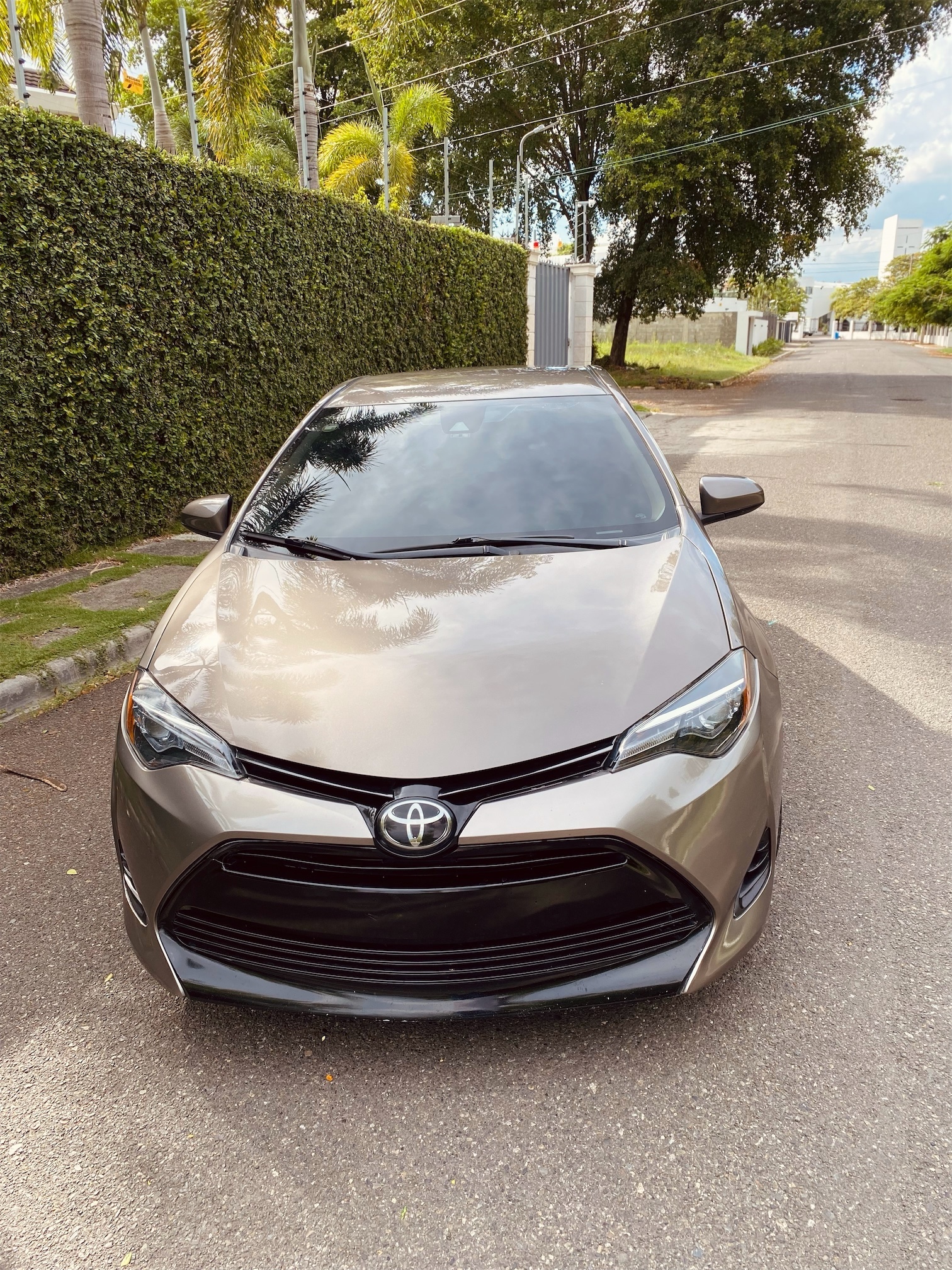 carros - Carro Toyota Corolla LE 2019 como nuevo  1
