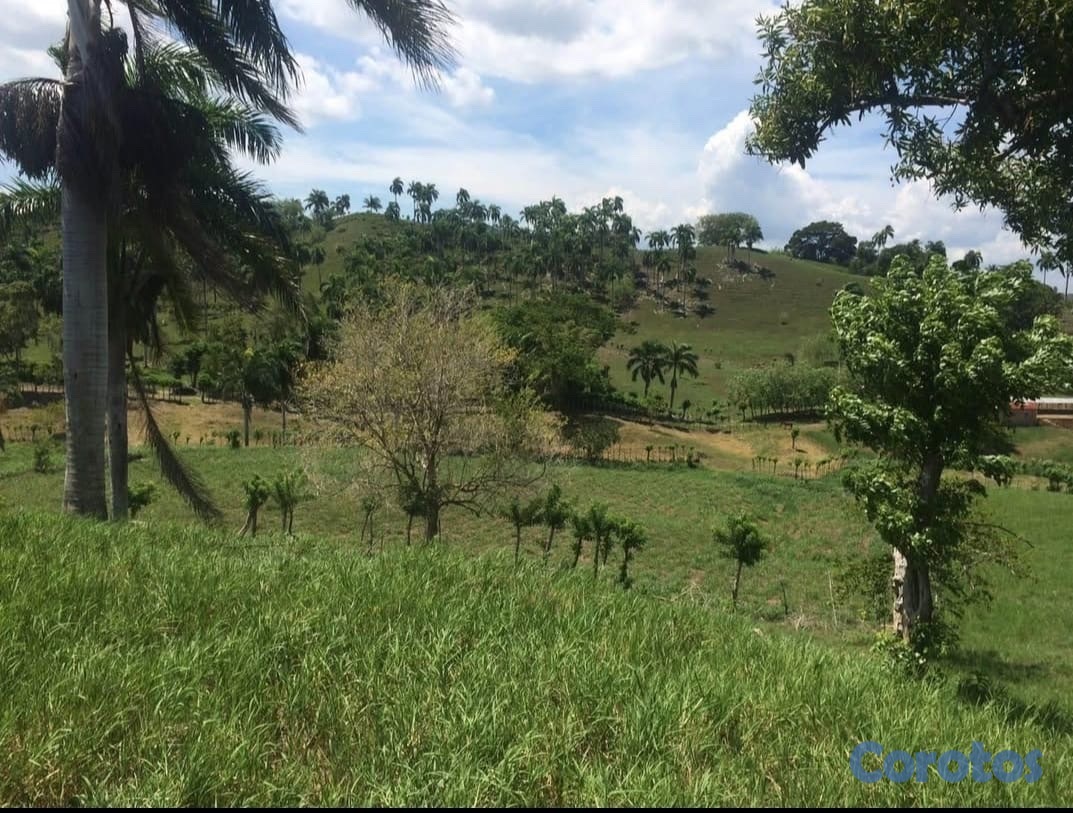 solares y terrenos - finca en Gaspar Hernandez  1