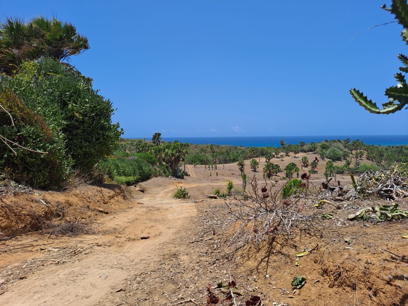 solares y terrenos - Excelente terreno con un kilómetro de playa ideal para proyecto  1