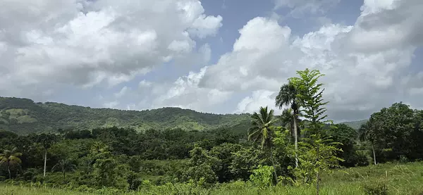solares y terrenos - Terreno en Venta en Hato Viejo Yamasá desde 1,000 Mts, con vista hacia el Rio  2