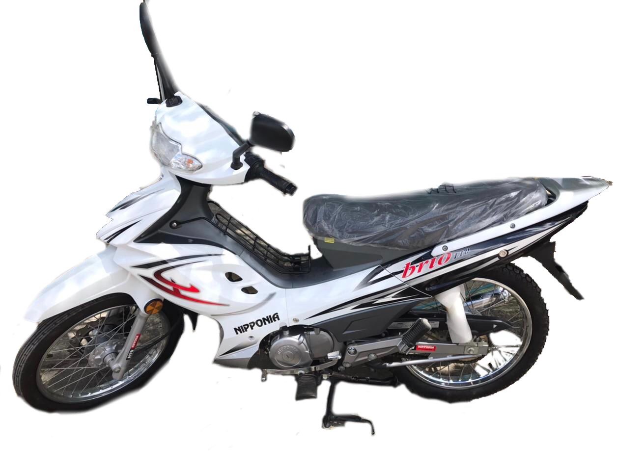 motores y pasolas - Motor Brio 110 De Oportunidad 