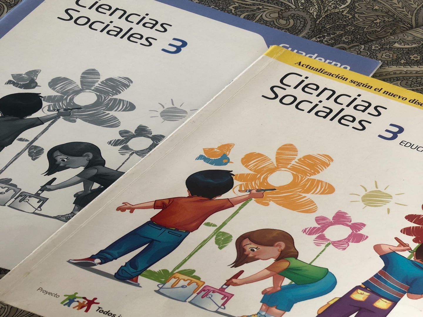 libros y revistas - Libros 3ro de primaria.