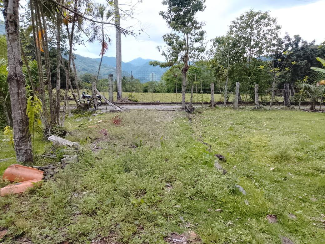 solares y terrenos - VENDO SOLAR EN VILLA ALTAGRACIA 5