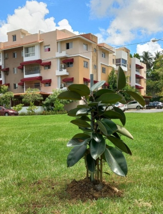 apartamentos - Alquilo en 📍Colinas del Oeste, frente al Bravo 27 7