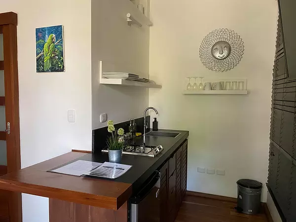 apartamentos - Estudio colonial con piscina ubicado en la Zona Colonial, Santo Domingo 4