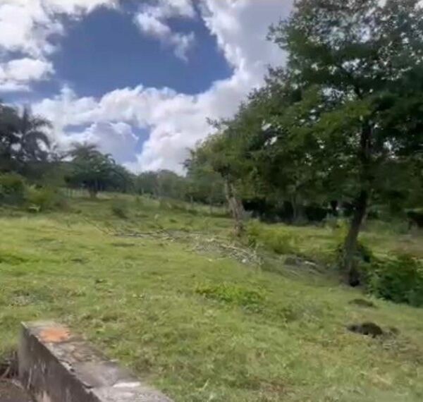 solares y terrenos - Finca de 63 tarea ubicada a 15 minutos del centro de Puerto Plata 1