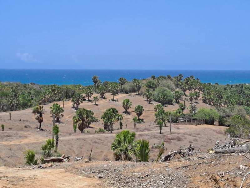solares y terrenos - Excelente terreno con un kilómetro de playa ideal para proyecto  3