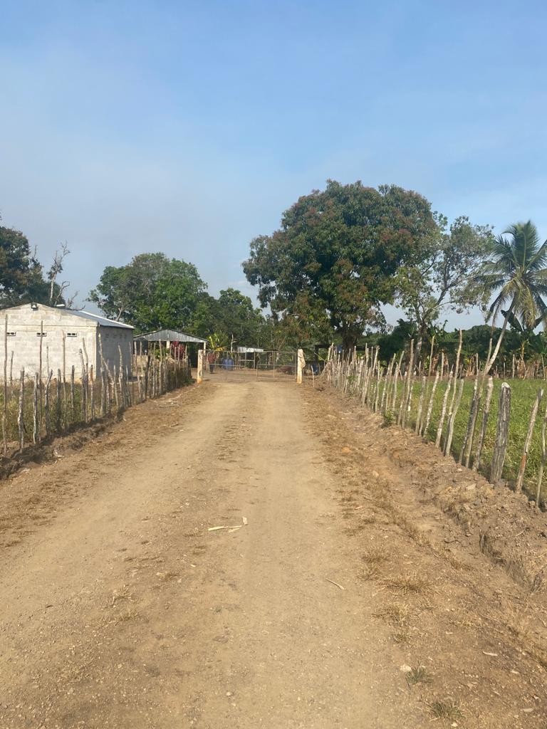 solares y terrenos - Finca 520 tareas en monte plata, en Don Juan 
 1