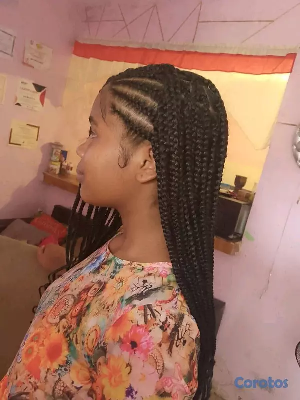servicios profesionales - Todo tipo de trenzas  4