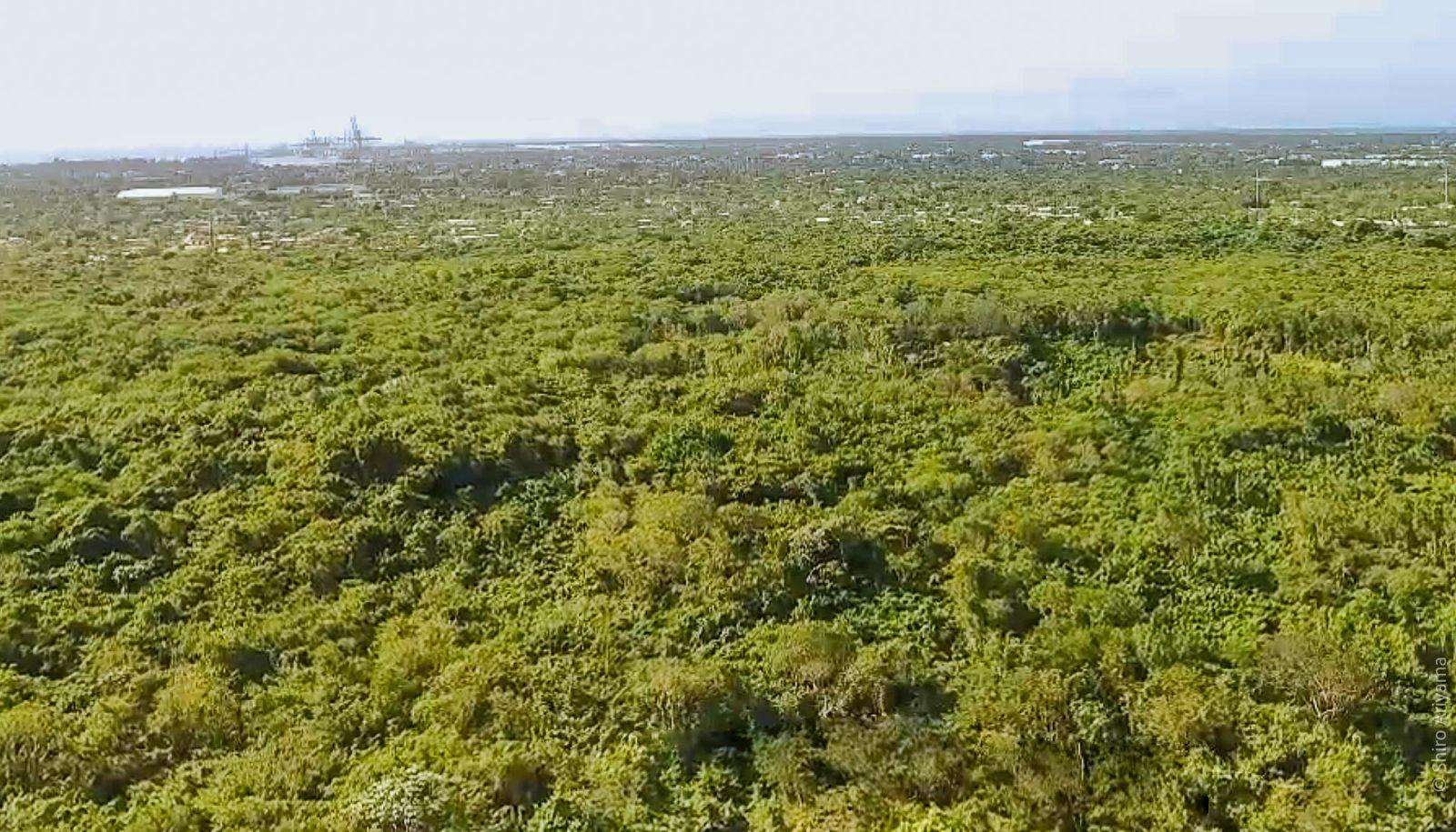 solares y terrenos - TERRENOS EN VENTA EN BOCA CHICA REPÚBLICA DOMINICANA. 610,564M2 M2 1