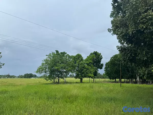solares y terrenos - Finca Ganadera en Cotui de 800 tareas  9