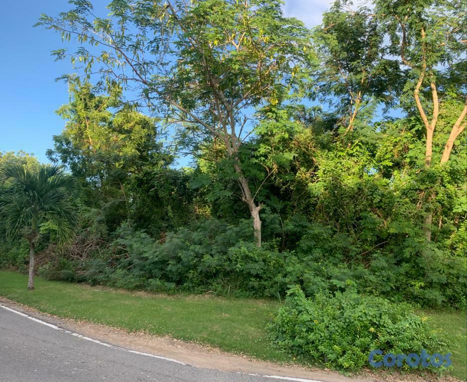 solares y terrenos - 🌴 Terreno en Venta en Playa Nueva Romana 5