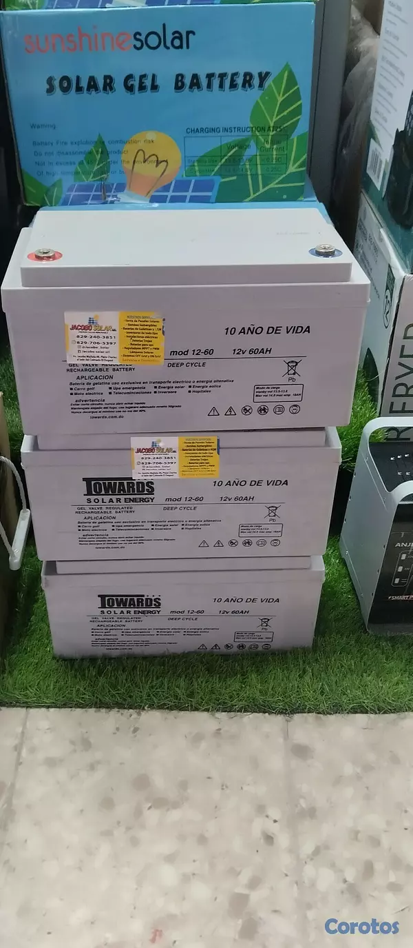 plantas e inversores - baterías de gelatina de 12v y 60am 2