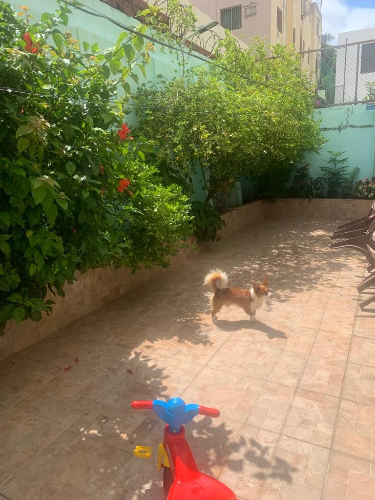 casas - VENDO CASA EN LA URB. GALÁ D.N 2