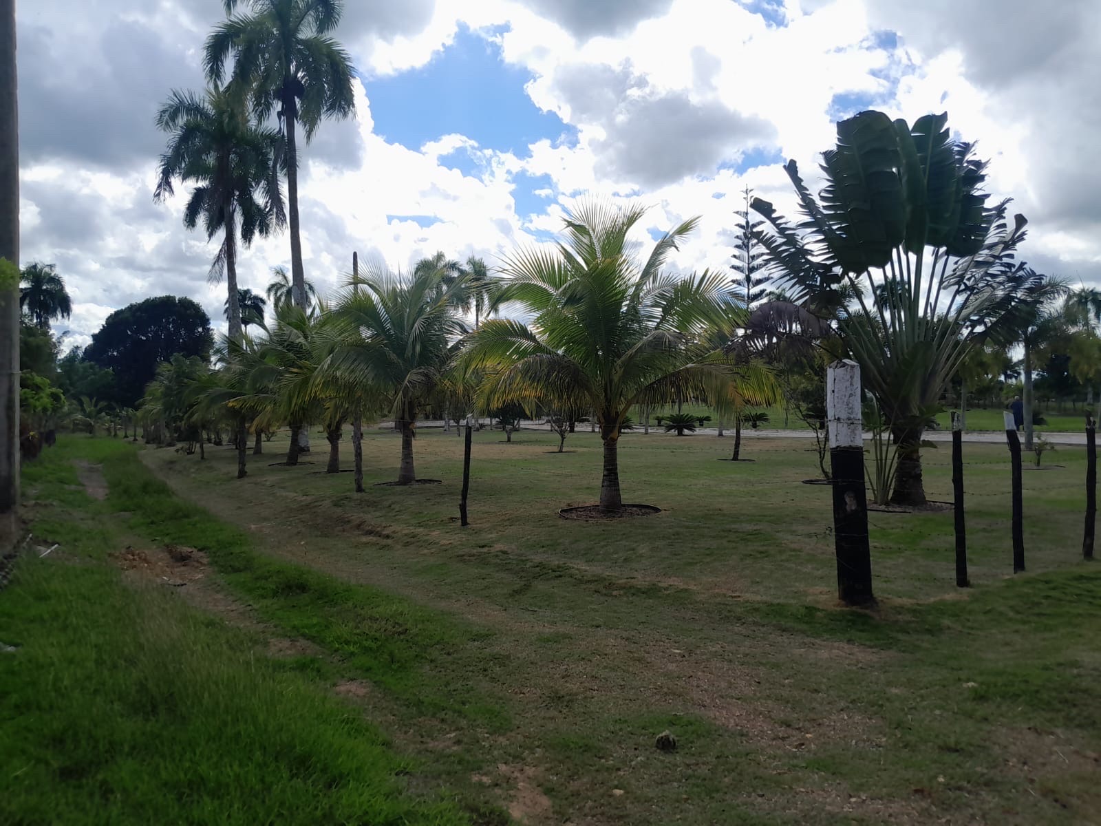 solares y terrenos - venta de finca de 15,193mts en Higuey República Dominicana 