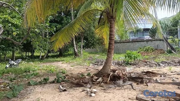 solares y terrenos - venta de solar en playa Coson Samana República Dominicana con 1,797mts 3
